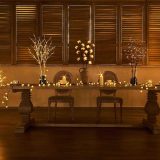 Faux Bonsai Tree LITBLOOM Willow plant with bonsai review