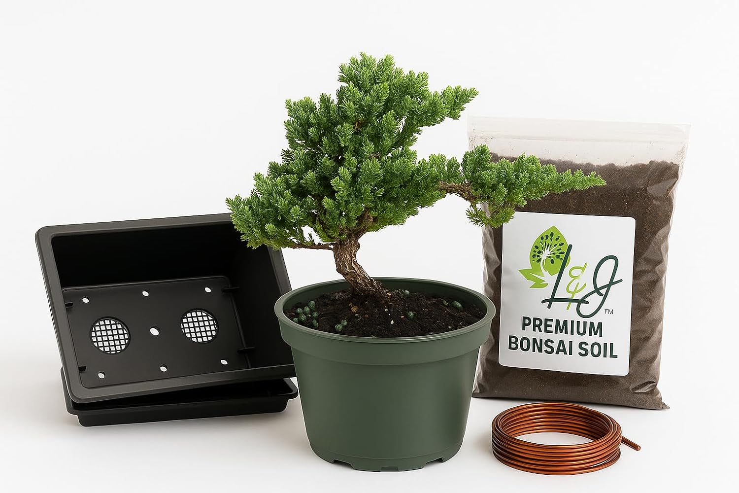 L&J NURSERY Juniper Kit   Bonsai starter kits for beginners