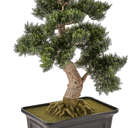 Nearly Natural 4103 24in. Cedar Bonsai Silk Plant, Green plant with bonsai review