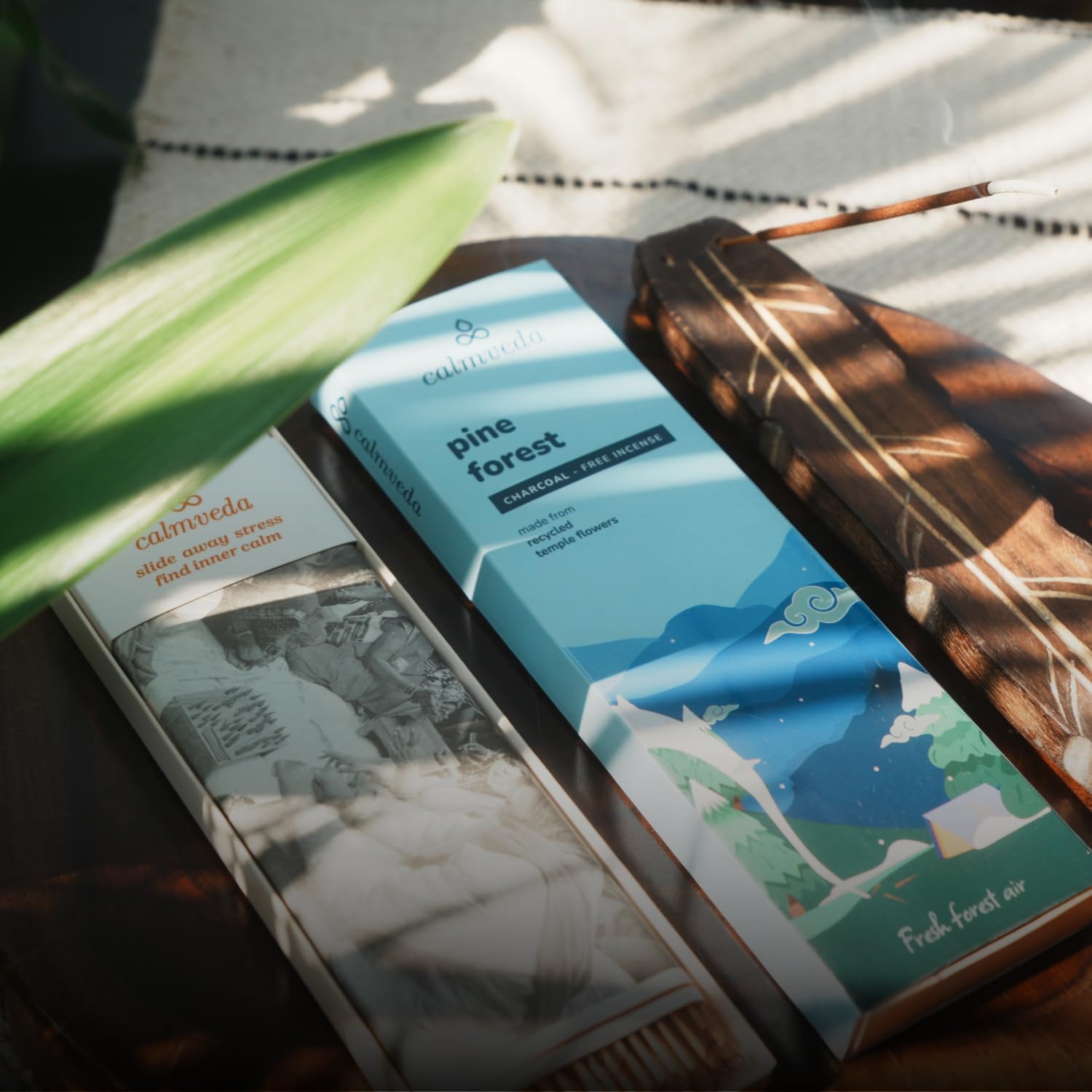 Fake Bonsai for Shelves