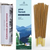 Fake Bonsai for Shelves