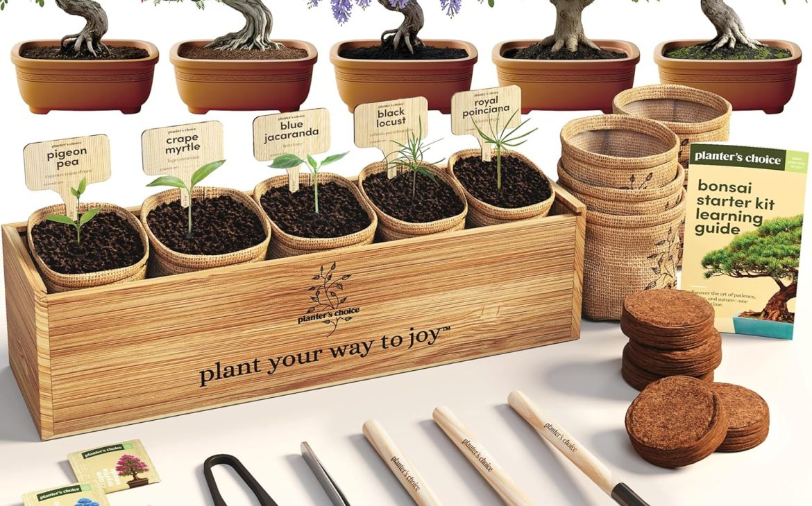 Planter's Choice Bonsai Tree Starter Kit with Bonsai starter kits for beginners support Bonsai Review