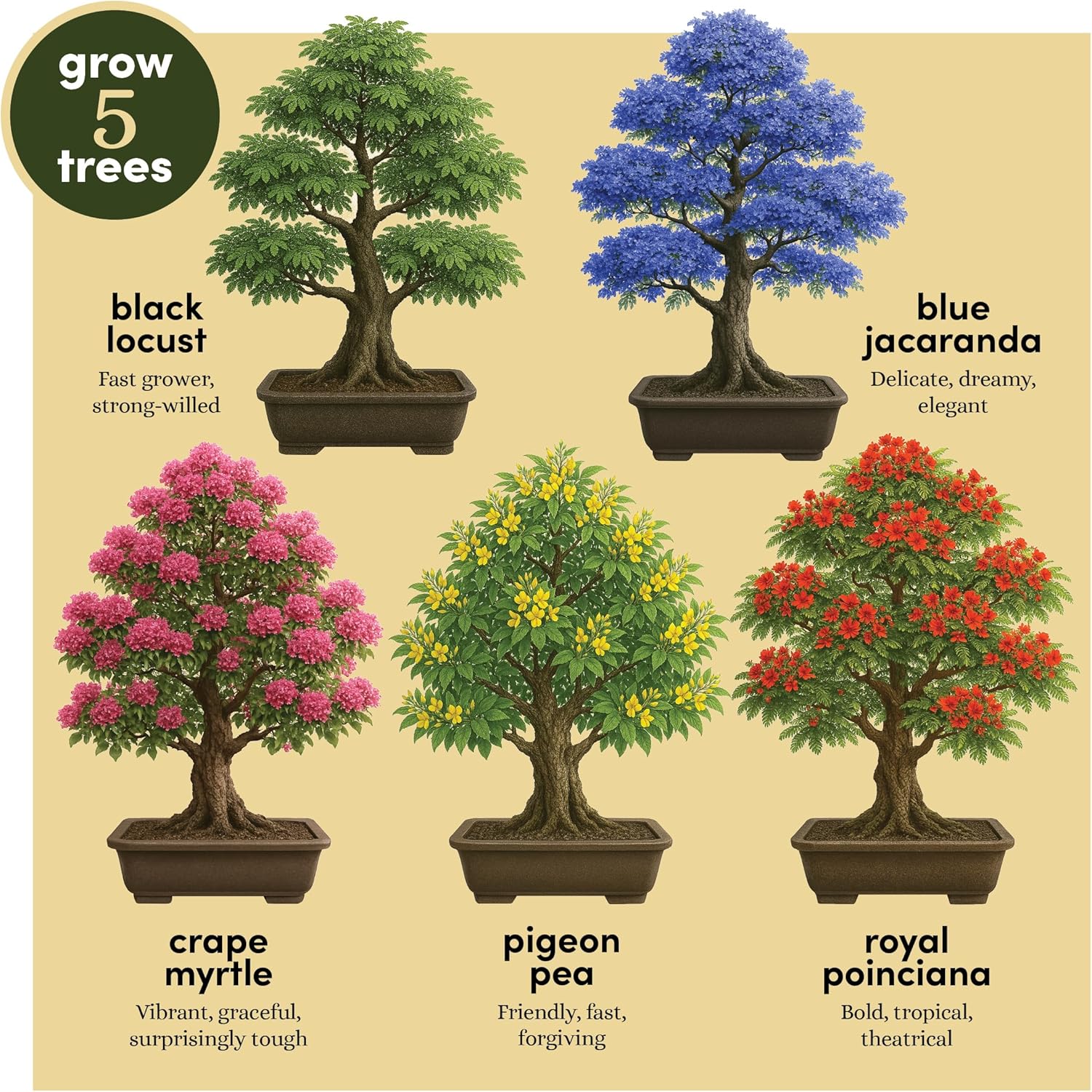 Planter's Choice Bonsai Tree Starter Kit with 5 Live Plants for Bonsai starter kits for beginners