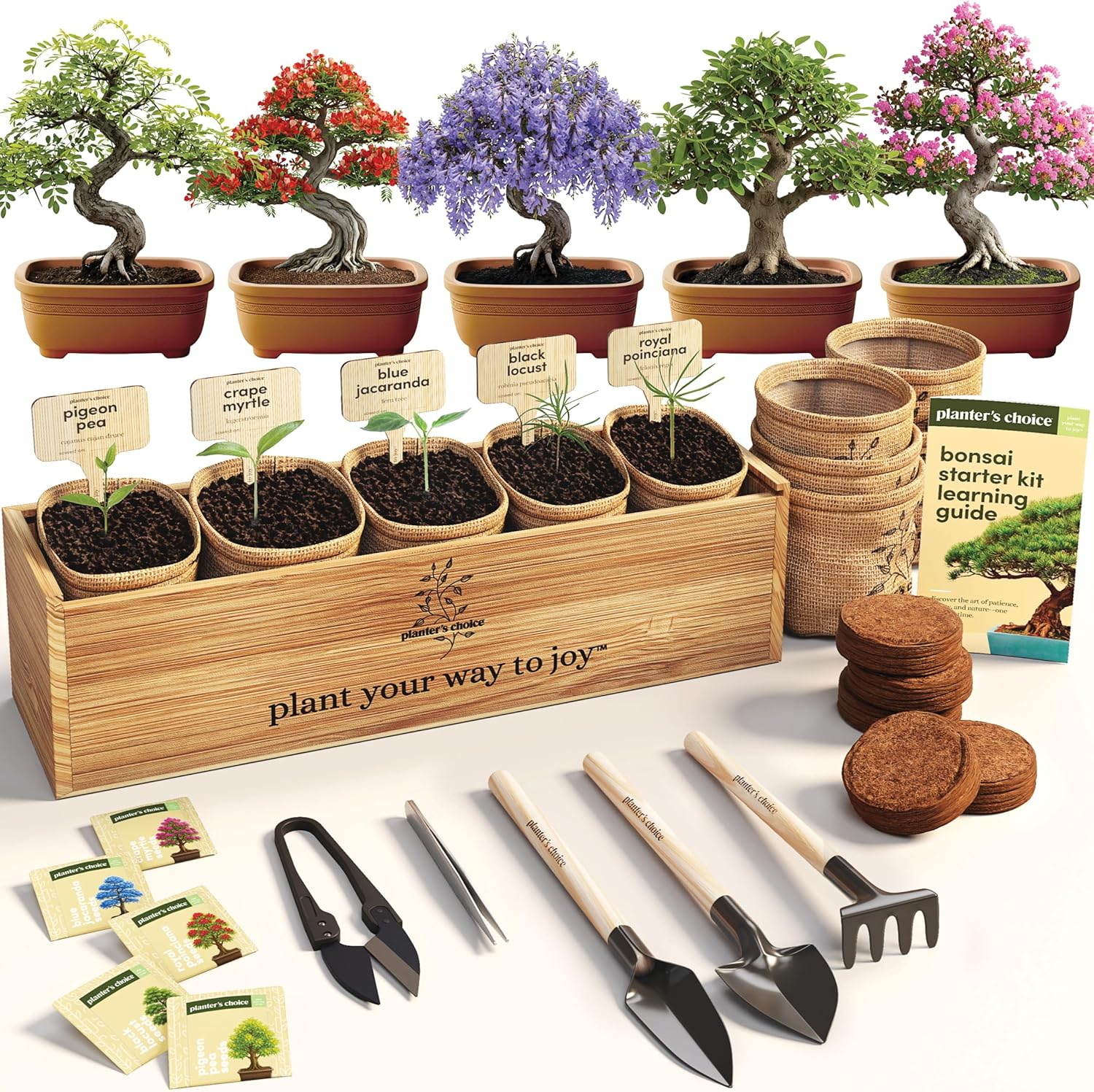 Planter's Choice Bonsai Tree Starter Kit with Bonsai starter kits for beginners support Bonsai Review