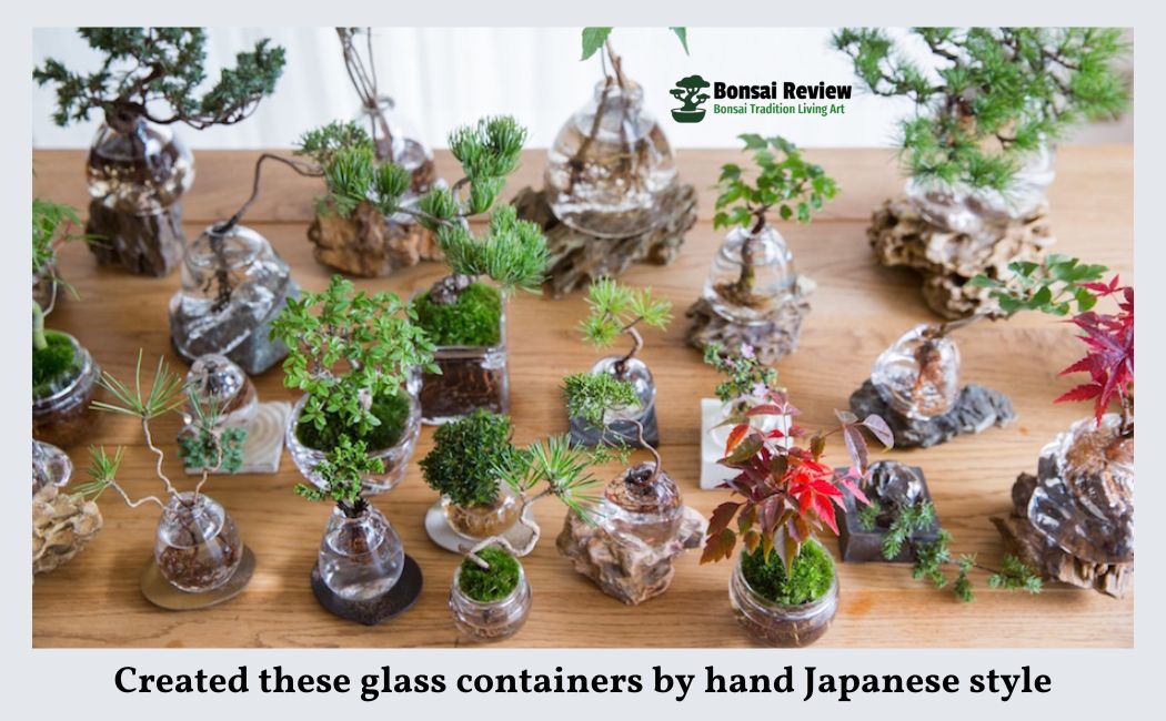 Aqua Bonsai Tree Japanese-style glass bottles
