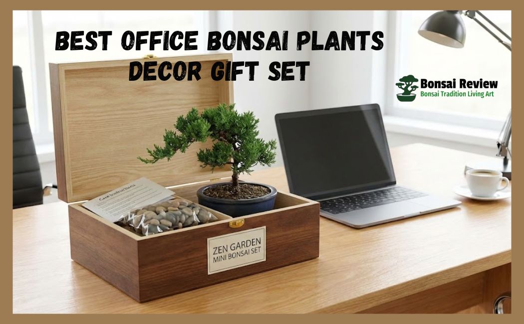 Best Office Bonsai Plants Decor Set