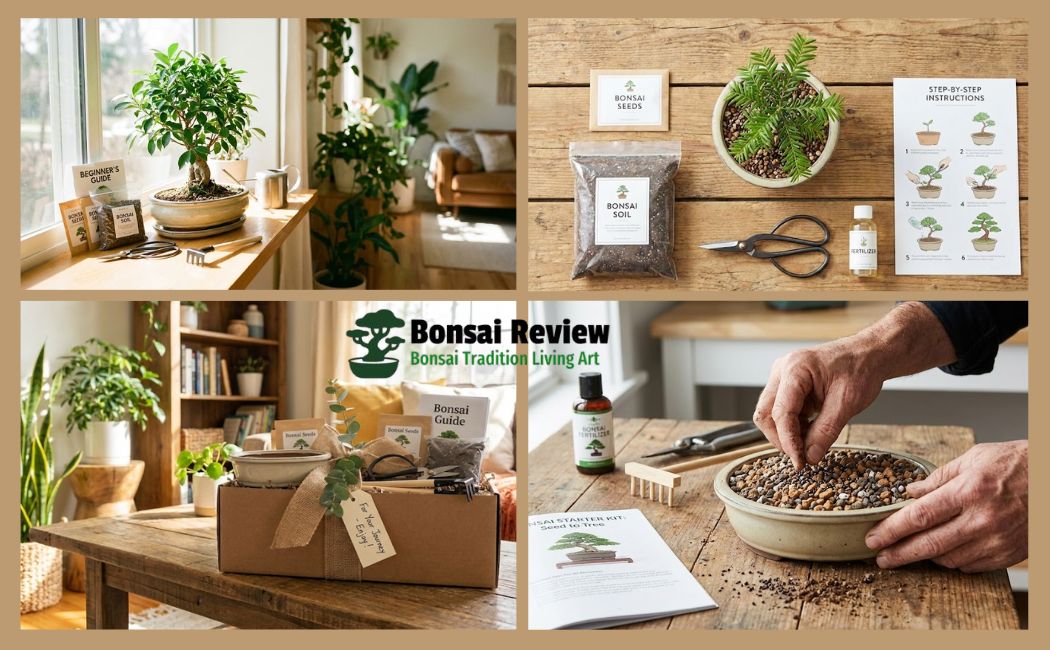 Bonsai Starter Kit Setup with Bonsai Review
