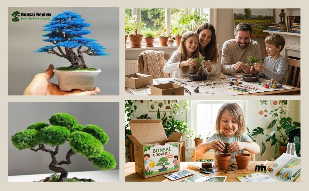 DIY Art Bonsai Tree Kit care