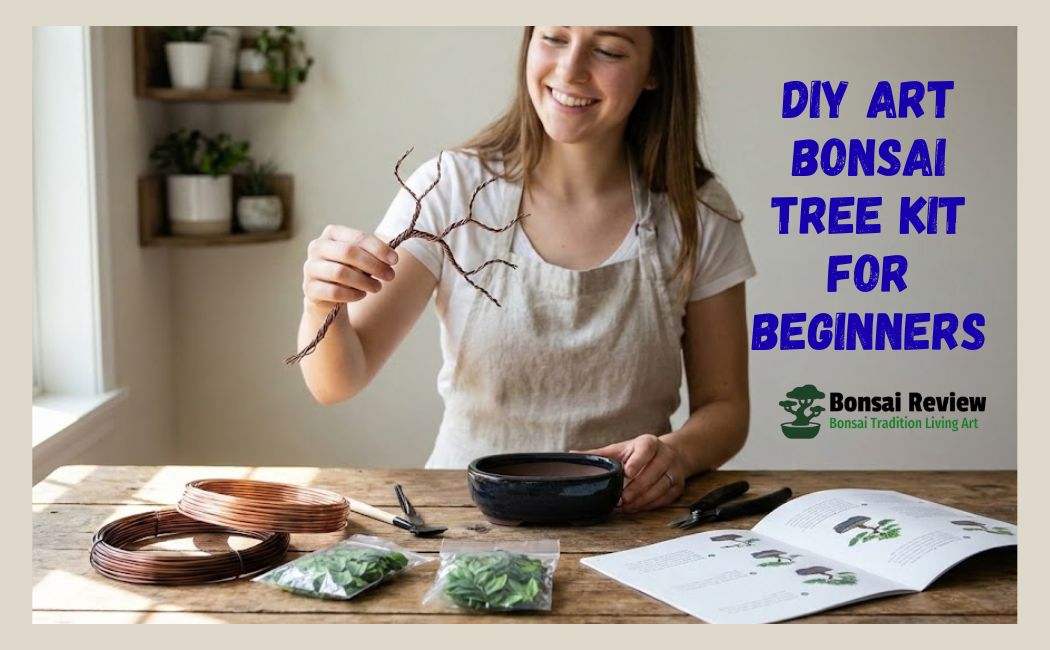 DIY Art Bonsai Tree Kit with bonsai review
