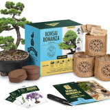 Garden Republic Bonsai Tree Kit - Grow 3 Mini Bonsai Trees, Indoor Plant Growing - Starter Kit with Seeds, Soil, Planters & Shears, Gardening Gifts for Women, Father's Day Gardening Gifts.