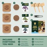 Garden Republic Bonsai Tree Kit - Grow 3 Mini Bonsai Trees, Indoor Plant Growing - Starter Kit with Seeds, Soil, Planters & Shears, Gardening Gifts for Women, Father's Day Gardening Gifts.