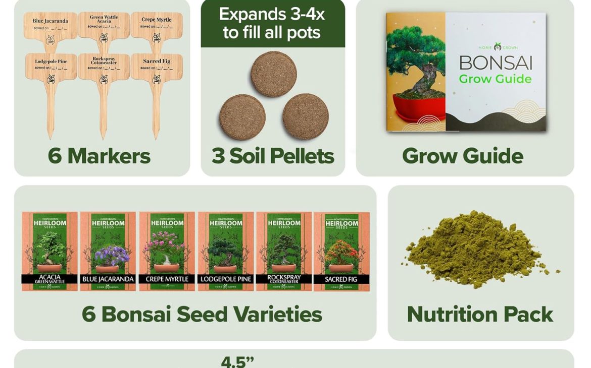 Bonsai Starter Kit