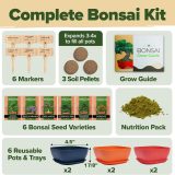 HOME GROWN Bonsai Tree Kit – 6 Heirloom Varieties with Unique Pots – DIY Bonsai Starter Kit for Adults & Beginners – Christmas Gift for Men Women, Gardeners, Plant Lovers – Indoor Growing Kit.