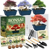 HOME GROWN Bonsai Tree Starter Kit – Unique Christmas Gift for Adults, Men, Women - Grow 4 Bonsais – DIY Crafts Hobby Gardening Kit for Plant Lovers, Mom, Dad - White Elephant Gifts for Adults.
