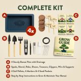 HOME GROWN Bonsai Tree Starter Kit – Unique Christmas Gift for Adults, Men, Women - Grow 4 Bonsais – DIY Crafts Hobby Gardening Kit for Plant Lovers, Mom, Dad - White Elephant Gifts for Adults