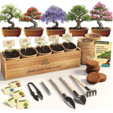 Planter's Choice Bonsai Tree Starter Kit - Unique Gifts for Women, Men - Birthday Gifts for Adults - Indoor Live House Plants - DIY Crafts for Adults Craft Kits - Hobby Gift for Gardening Lovers