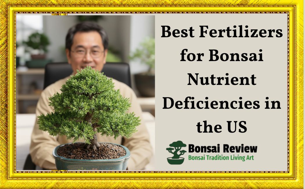 Best Fertilizers for Bonsai Nutrient Deficiencies in the US get Expertise Thomas Shoji
