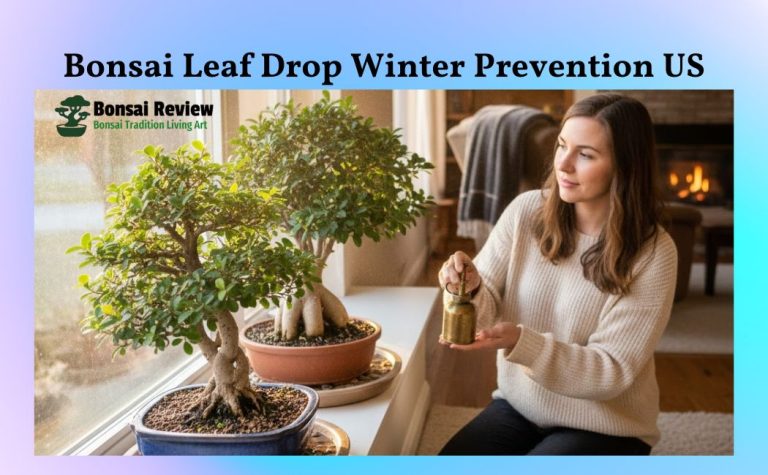 Bonsai Leaf Drop Winter Prevention US
