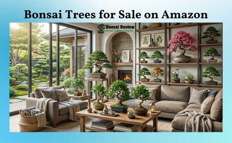 Bonsai Trees for Sale on Amazon under $50