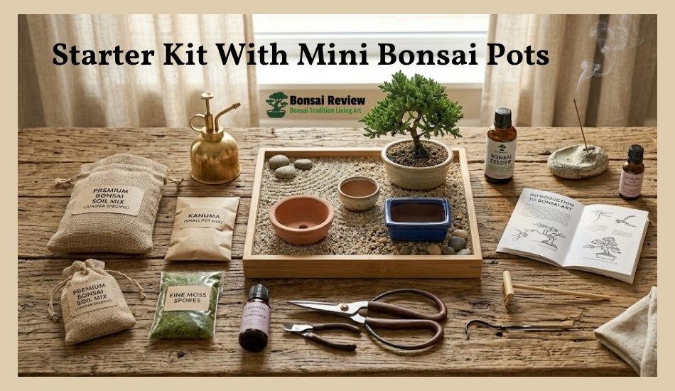 Bonsai Plants For Mindfulness Starter Kit