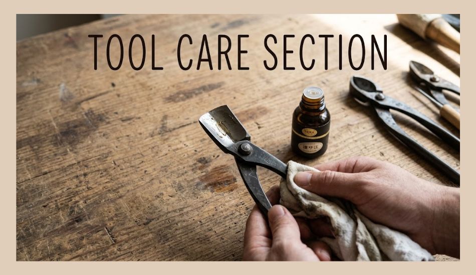 Best Bonsai Tools Set Care