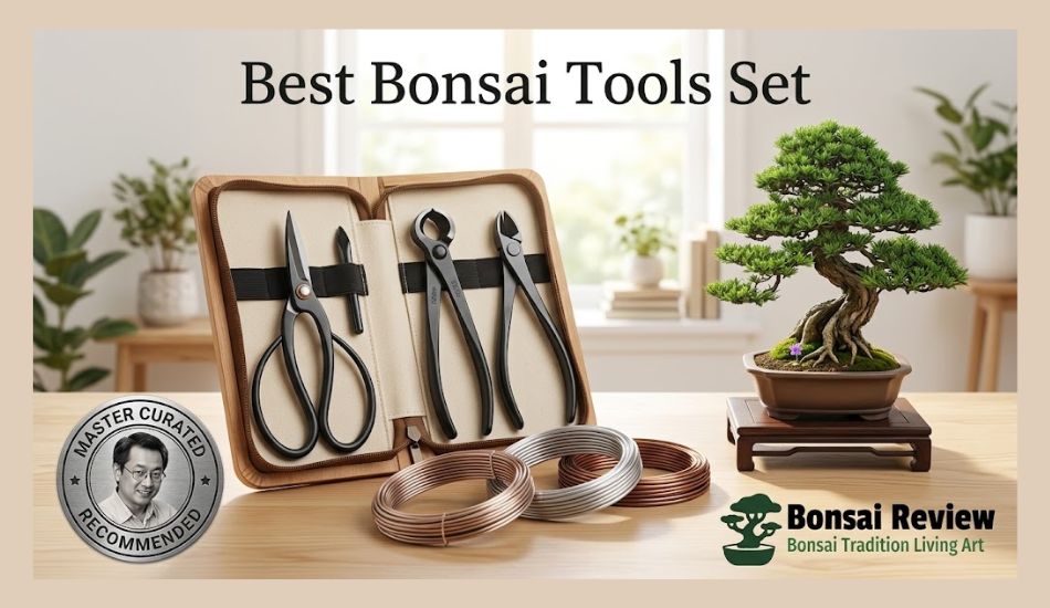 Best Bonsai Tools Set