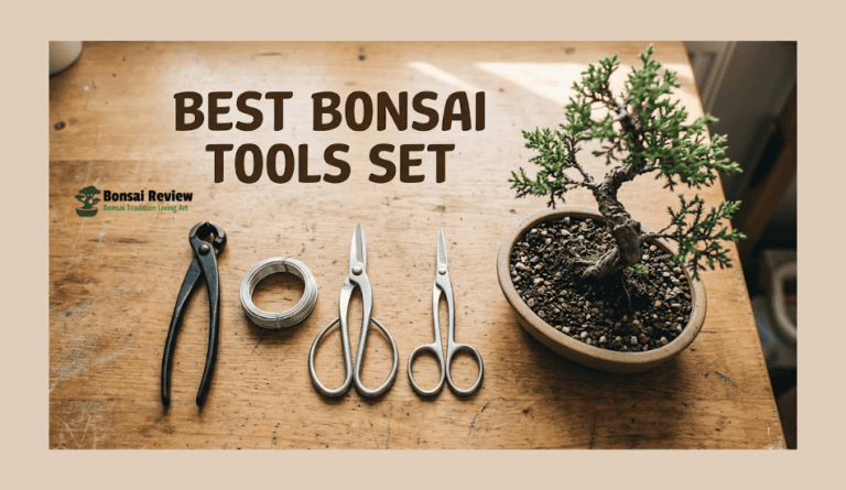 Best Bonsai Tools Set