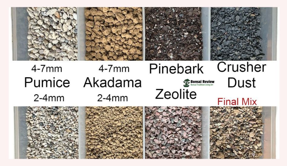 Best Soil For Bonsai Tree Final Mixer