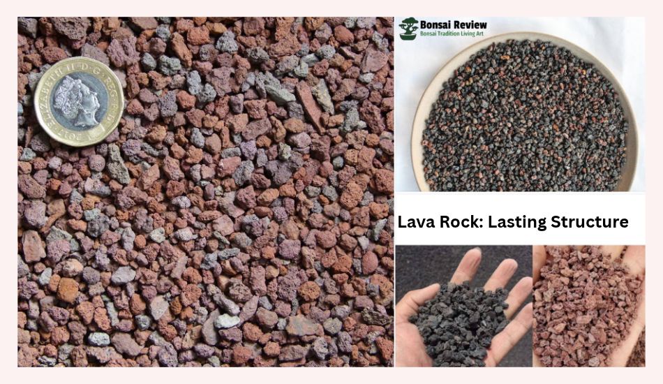 Best Soil For Bonsai Tree Structure
