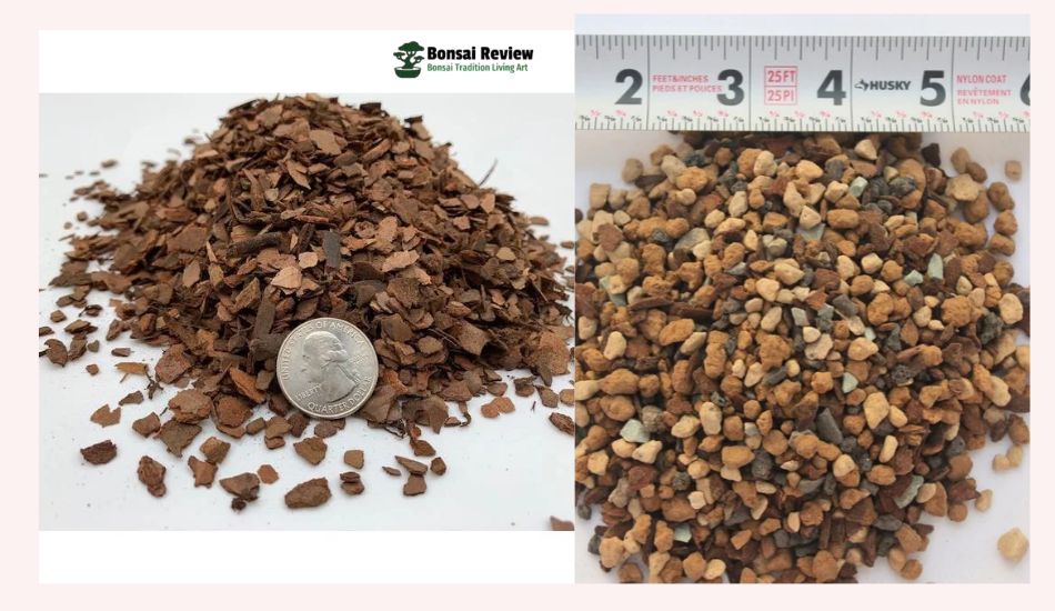 Best Soil For Bonsai Tree Calculator