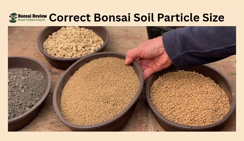 How To Mix Bonsai Soil Particle Size
