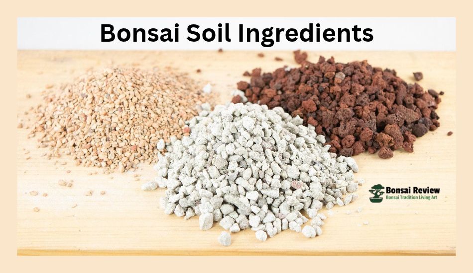 How To Mix Bonsai Soil 3 Main Materials
